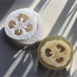 Load image into Gallery viewer, Backwoods Mint Loofah Soap