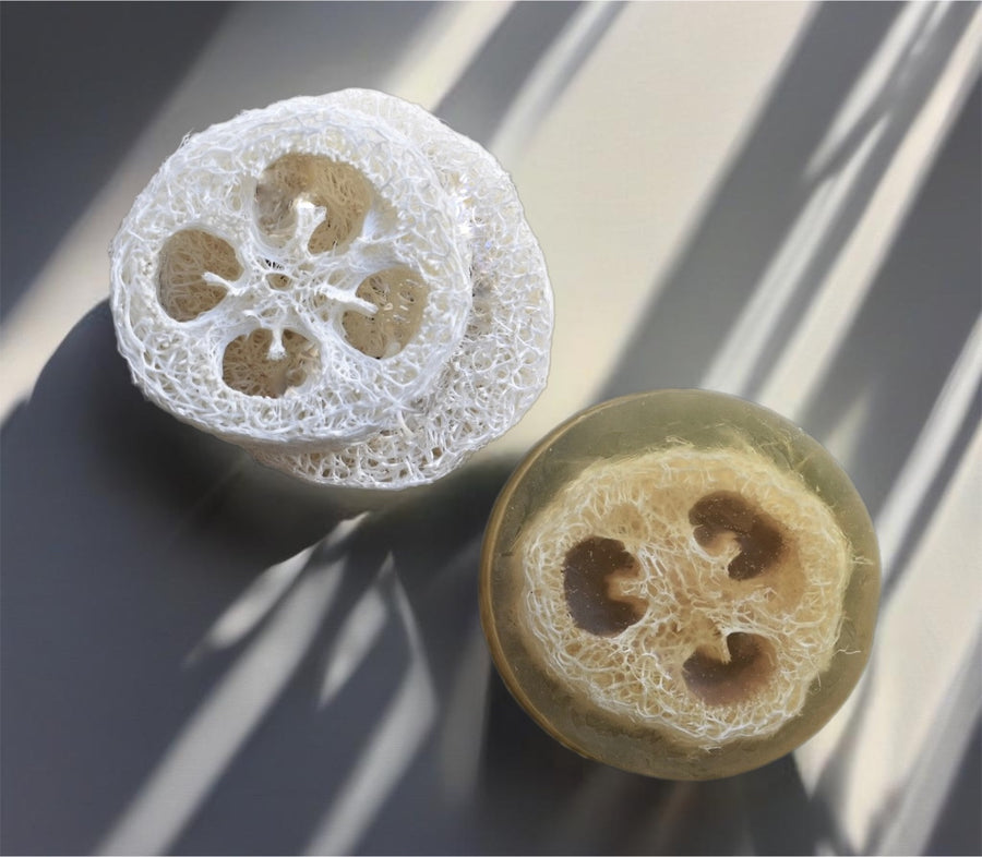 Tea Tree Tangerine Loofah Soap