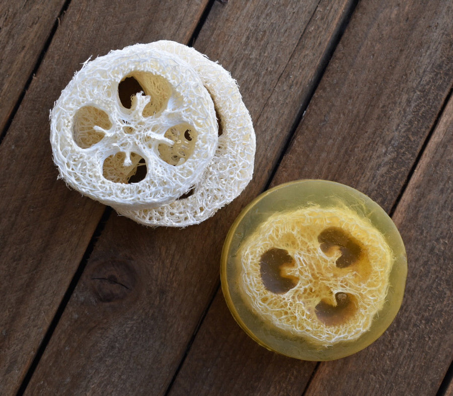 Lavender Lemongrass Loofah Soap